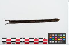 Foto von Eisenschiene (NHMW-PRAE-024792)